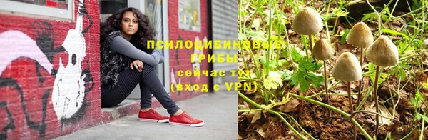 ГАЛЛЮЦИНОГЕННЫЕ ГРИБЫ Дмитров