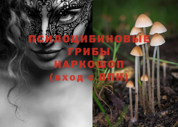 ГАЛЛЮЦИНОГЕННЫЕ ГРИБЫ Дмитров