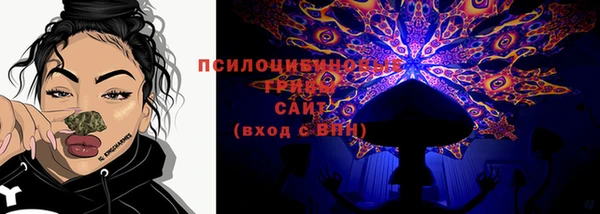 ГАЛЛЮЦИНОГЕННЫЕ ГРИБЫ Дмитров
