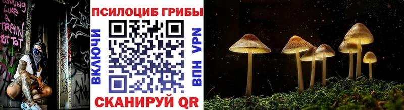 продажа наркотиков  Нея  Псилоцибиновые грибы ЛСД 